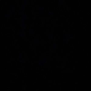 Meet your Posher, Destiny